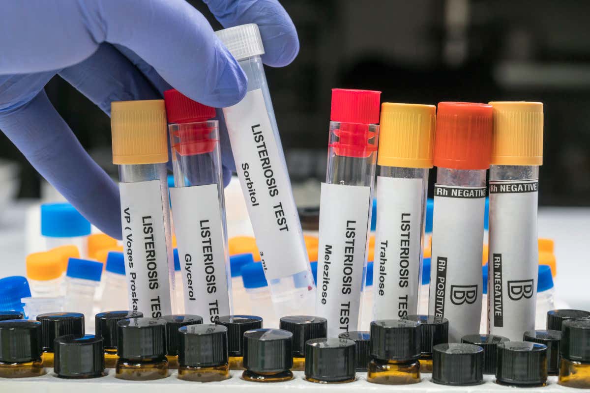 Le nuove regole Ue impongono prove scientifiche sulla shelf-life