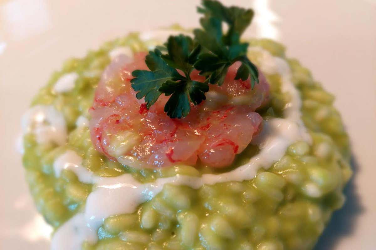 Risotto mantecato con crema di piselli, tartare di parapandoli con crema di formaggio di Schiazzano Ristorante Antico Francischiello, a Massa Lubrense inseguendo i gusti di Lucio Dalla
