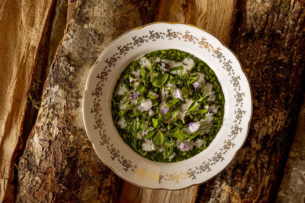 [[Locanda Mammì]]: gusti raffinati e ospitalità di qualità ad Agnone