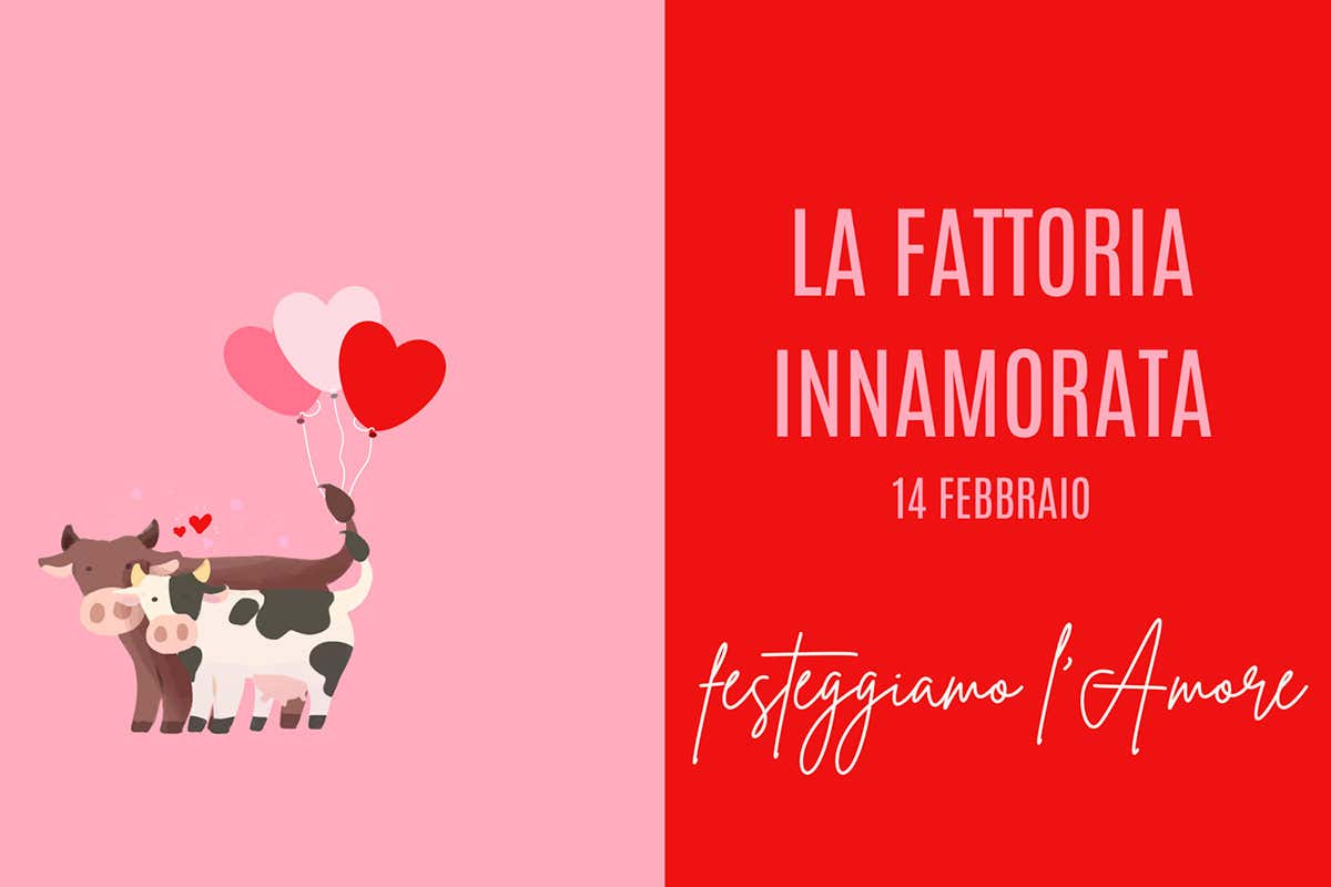 Locandina dedicata al San Valentino 2022 di Cascina Bosco Gerolo San Valentino tra cucina e poesia: i consigli per una serata perfetta