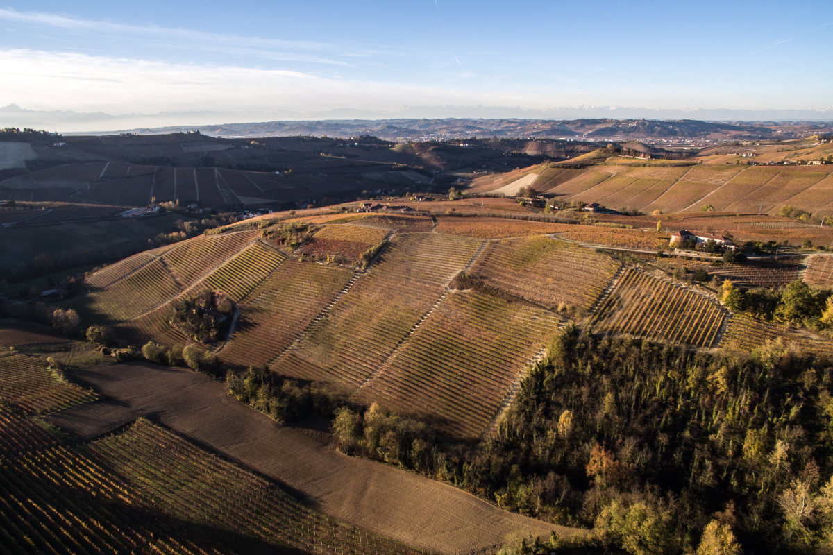 Lodali, dal Barbaresco cru a quello Chardonnay che non basta mai
