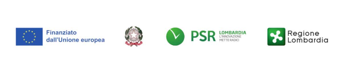 Dal fondovalle all’alpeggio: il viaggio del Formai de Mut dell’Alta Valle Brembana Dop