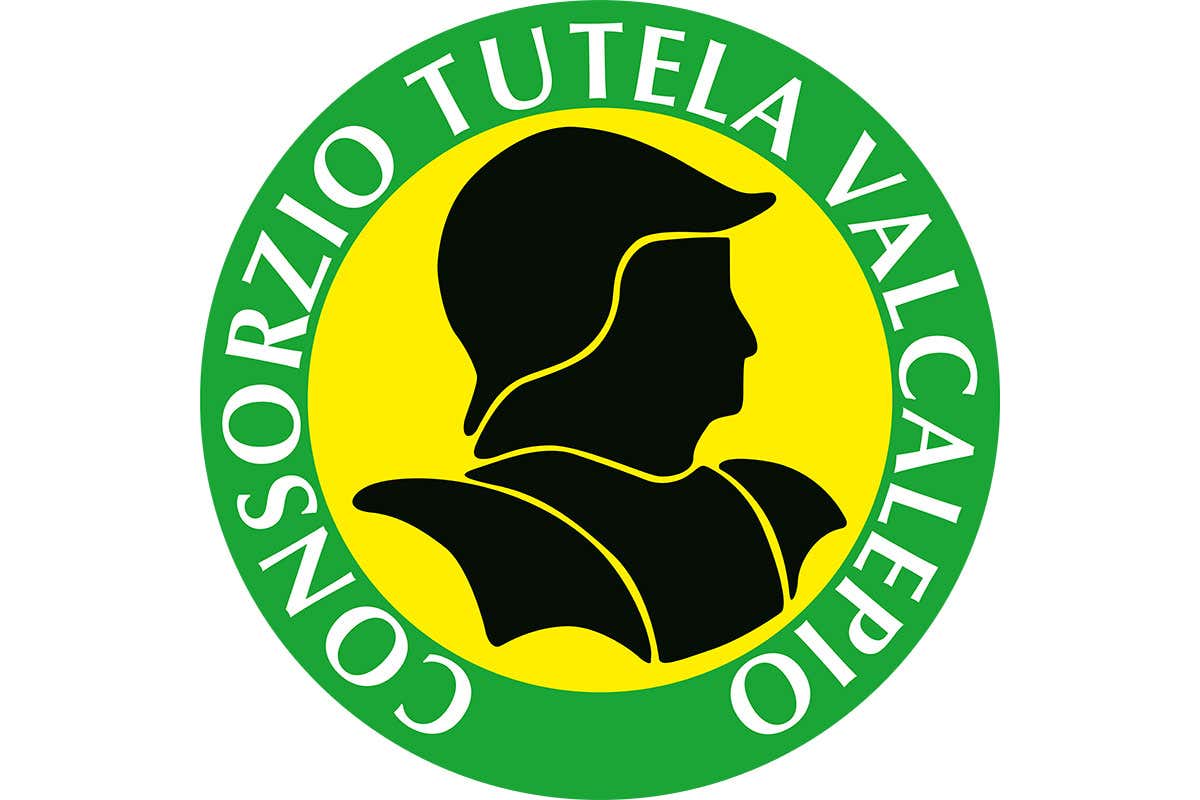 Perché modificare il Disciplinare di produzione Valcalepio Doc Perché modificare il Disciplinare di produzione Valcalepio Doc