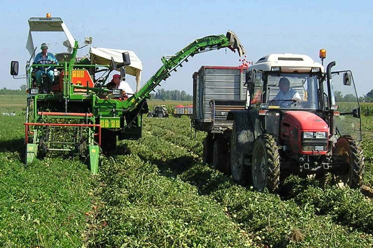 (Lombardia, agricoltura in salute Nel 2018 la produzione cresce del 2,9%) (Lombardia, agricoltura in salute Nel 2018 la produzione cresce del 2,9%)