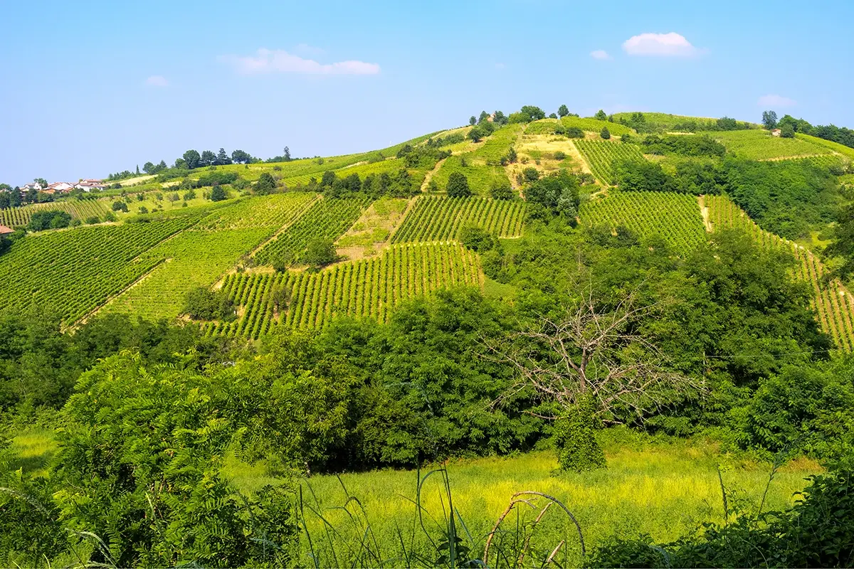 La Lombardia passer&agrave; una estate in festa tra vigneti e cantine Estate in Lombardia? Tutti gli appuntamenti in vigna e in cantina