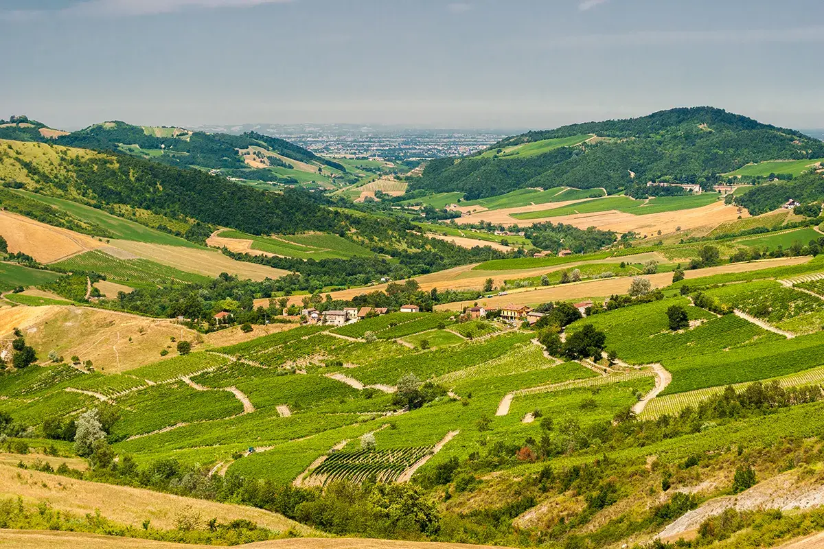 Colline dell'Oltrep&ograve;, una delle culle del vino lombardo&nbsp; Digitale, innovativo, internazionale: il vino lombardo pronto a correre dopo il Covid