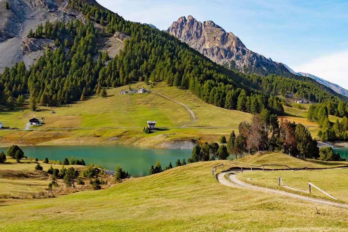 In Lombardia 2,5 milioni per costruire e ammodernare le aziende zootecniche delle aree alpine La Lombardia investe sulla montagna: 25 milioni di euro per stalle e malghe