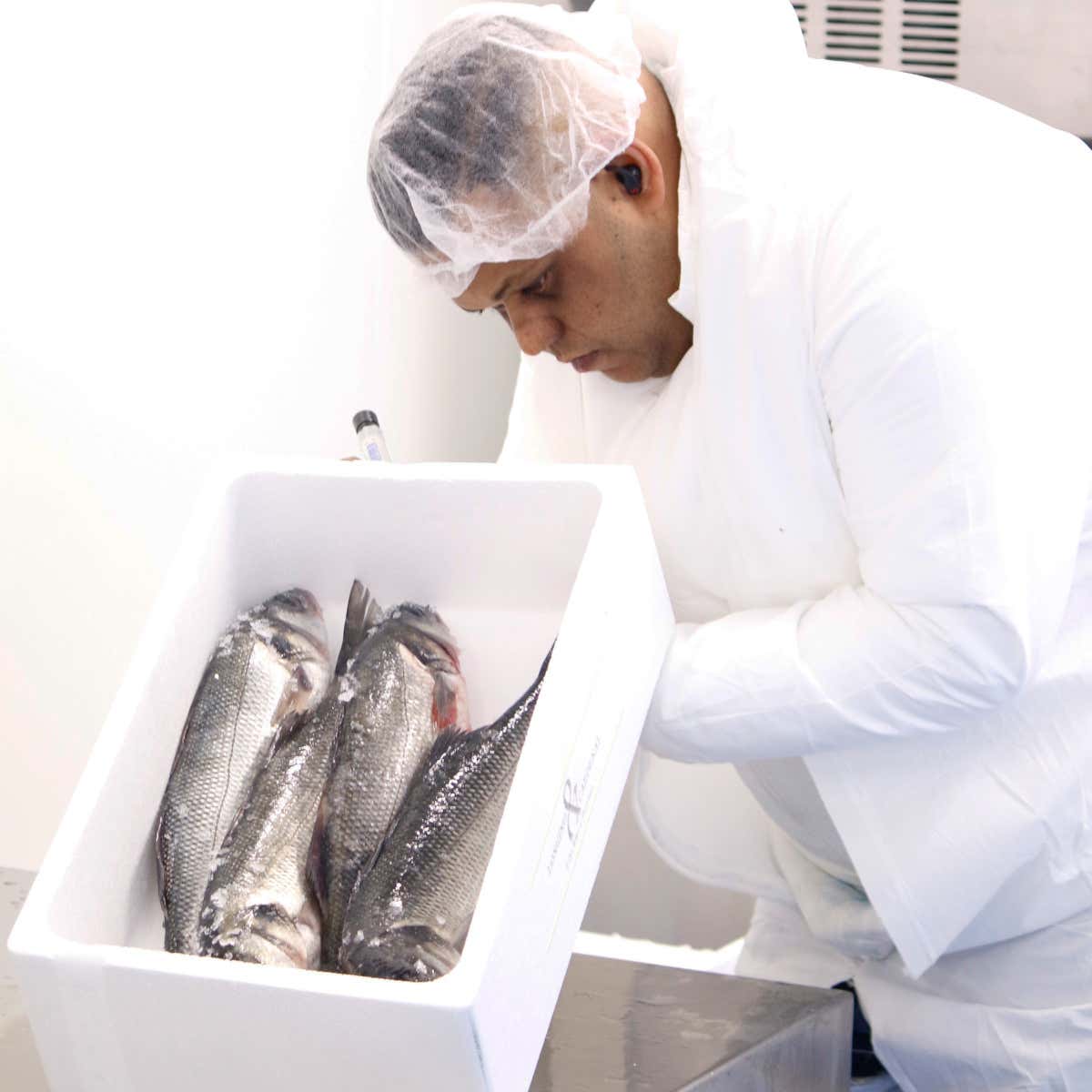 Filiera corta e selezione: nel Milanese arriva il “Mercato del Pesce” per l'Horeca Filiera corta e selezione: nel Milanese arriva il “Mercato del Pesce” per l'Horeca