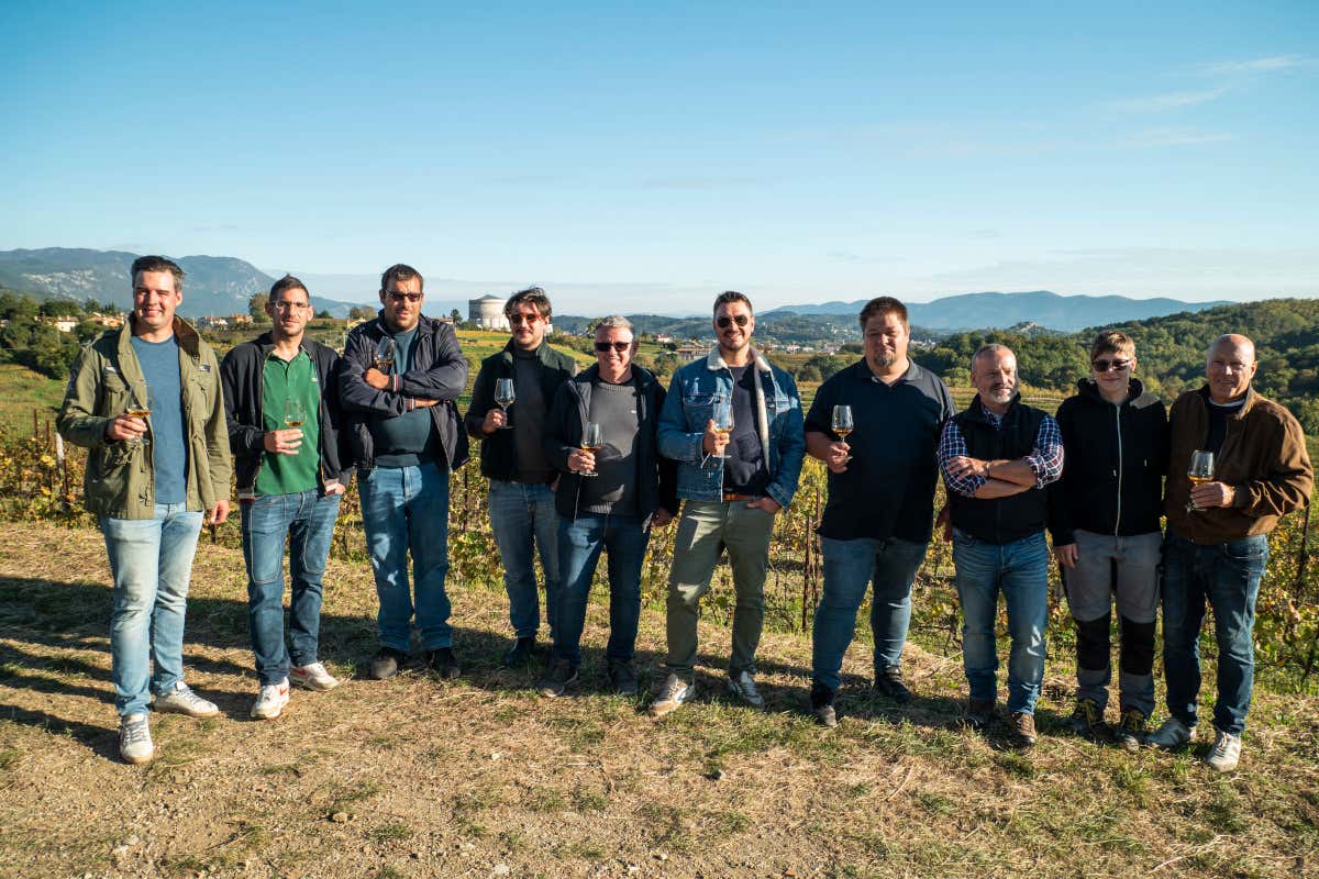 La prima Banca di un vitigno è firmata Ribolla di Oslavia