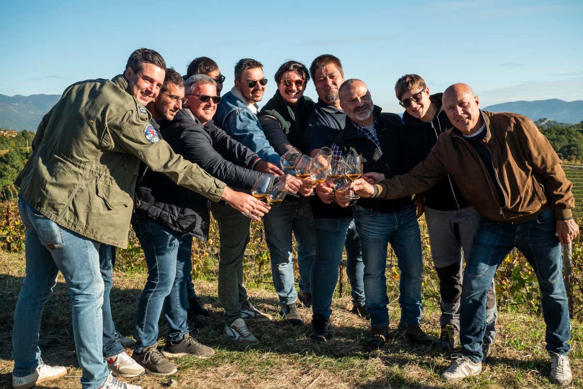 La prima Banca di un vitigno è firmata Ribolla di Oslavia