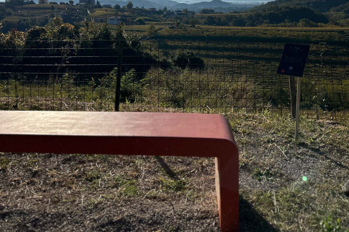 La prima Banca di un vitigno è firmata Ribolla di Oslavia