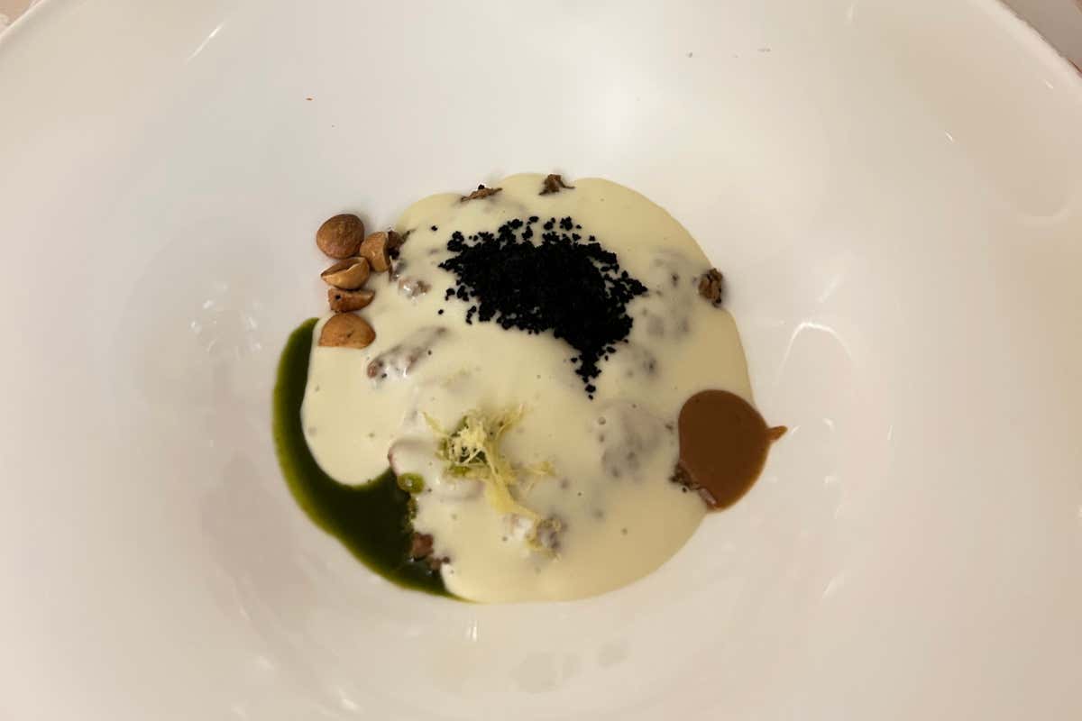 La prima Banca di un vitigno è firmata Ribolla di Oslavia