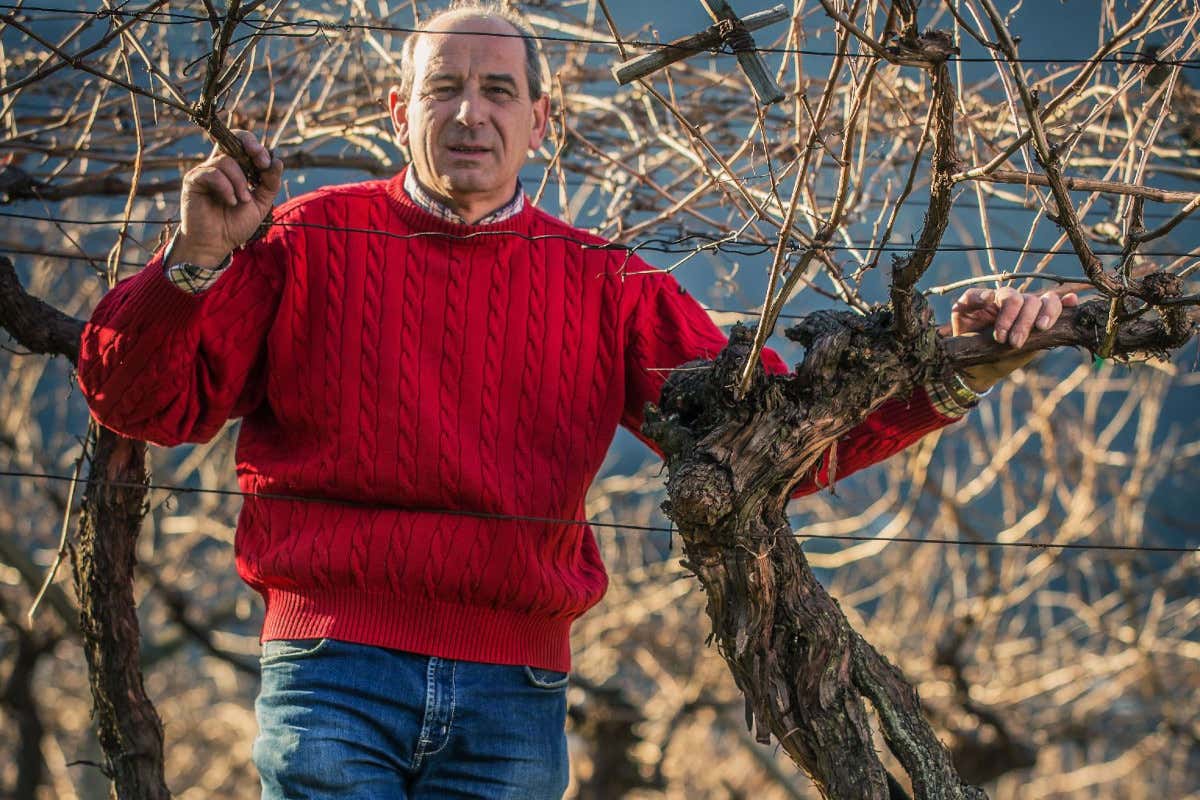 Lorenzo Bongiovanni Tre Bicchieri e Slow Food: il momento d'oro dell'Enantio