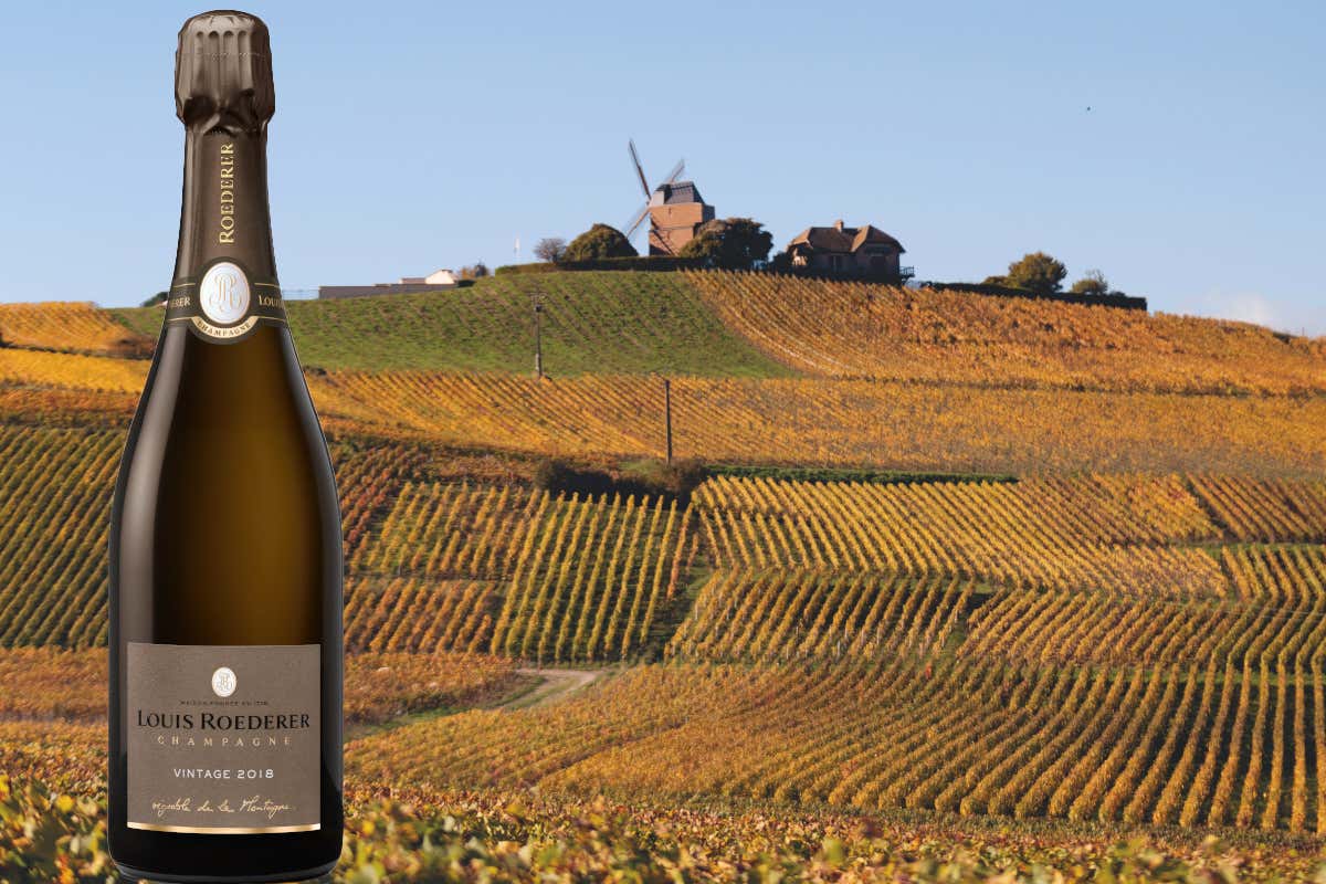 Il Louis Roederer Vintage 2018, prodotto nella zona della Montagne de Reims