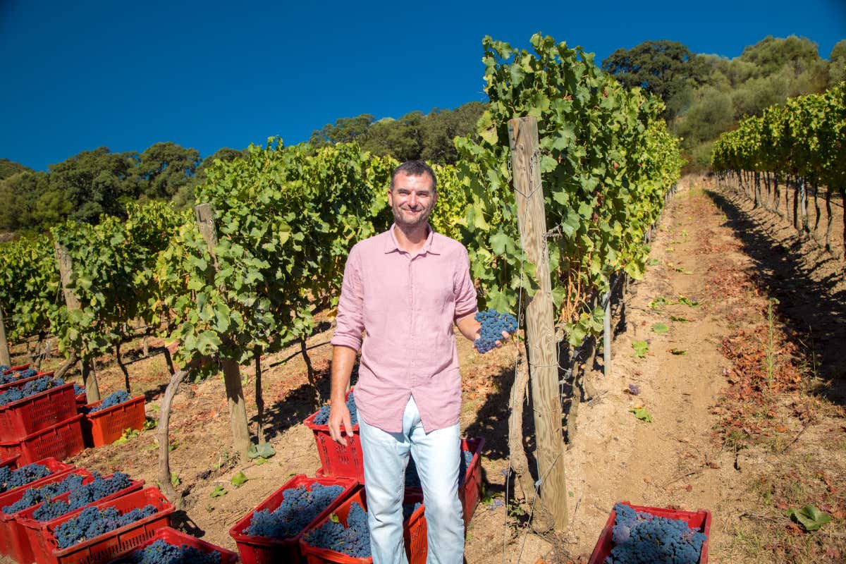 Più fotovoltaico e meno plastica: la svolta verde di Siddùra