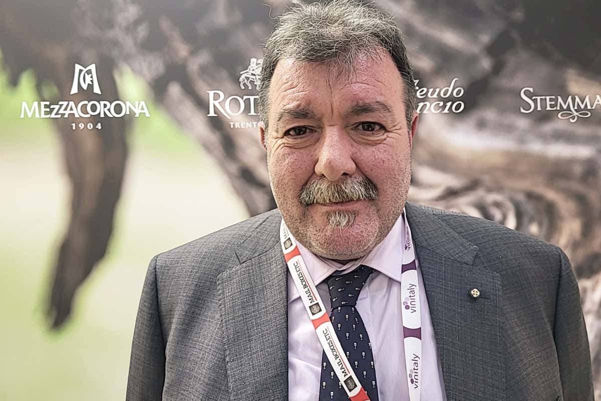 Luca Rigotti, presidente di Gruppo Mezzacorona La forte vocazione globale di Gruppo Mezzacorona al Vinitaly Luca Rigotti, presidente di Gruppo Mezzacorona La forte vocazione globale di Gruppo Mezzacorona al Vinitaly