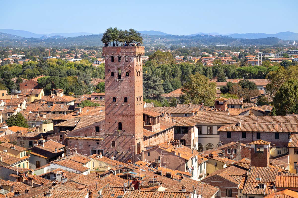 La Torre Guinigi di Lucca