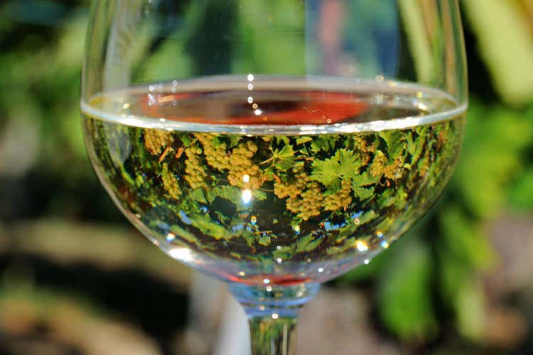 Quest'anno sono state prodotte 22 milioni di bottiglie (Vola la produzione di Lugana E il prezzo è più che dimezzato)