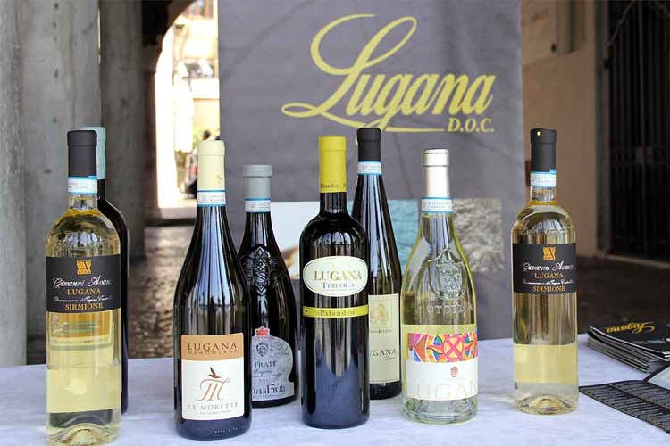 Bottiglie di Lugana (Vola la produzione di Lugana E il prezzo è più che dimezzato)