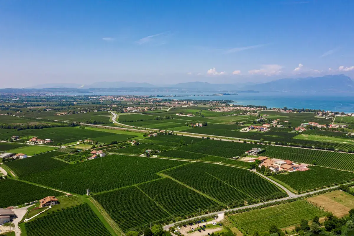 Il territorio del Lugana Lugana Doc, che ripresa! Crescono prezzi e imbottigliamenti