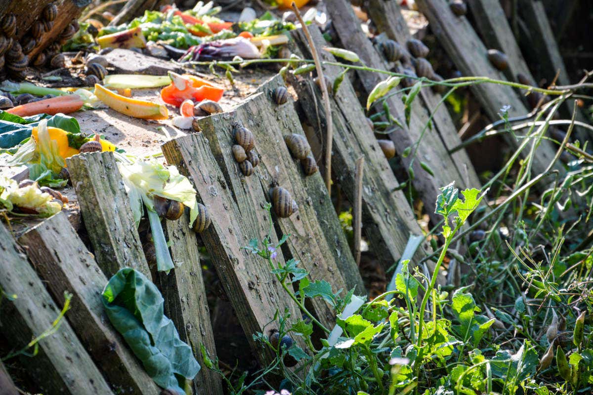 Wilder Kaiser, una vacanza tra natura e sostenibilità in Tirolo