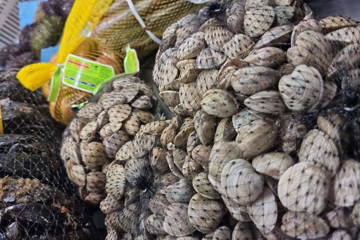 La qualità dei prodotti di Orobica Pesca per un menu natalizio a base di pesce