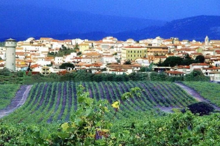 Luras (fonte: Budoni welcome) In Sardegna non solo mare... Sempre più attivo l'enoturismo