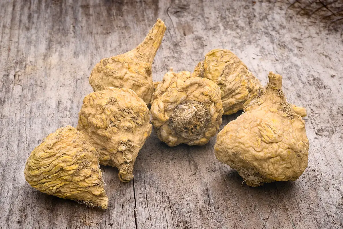La maca La Maca, superfood che allevia lo stress (e accende il desiderio...)