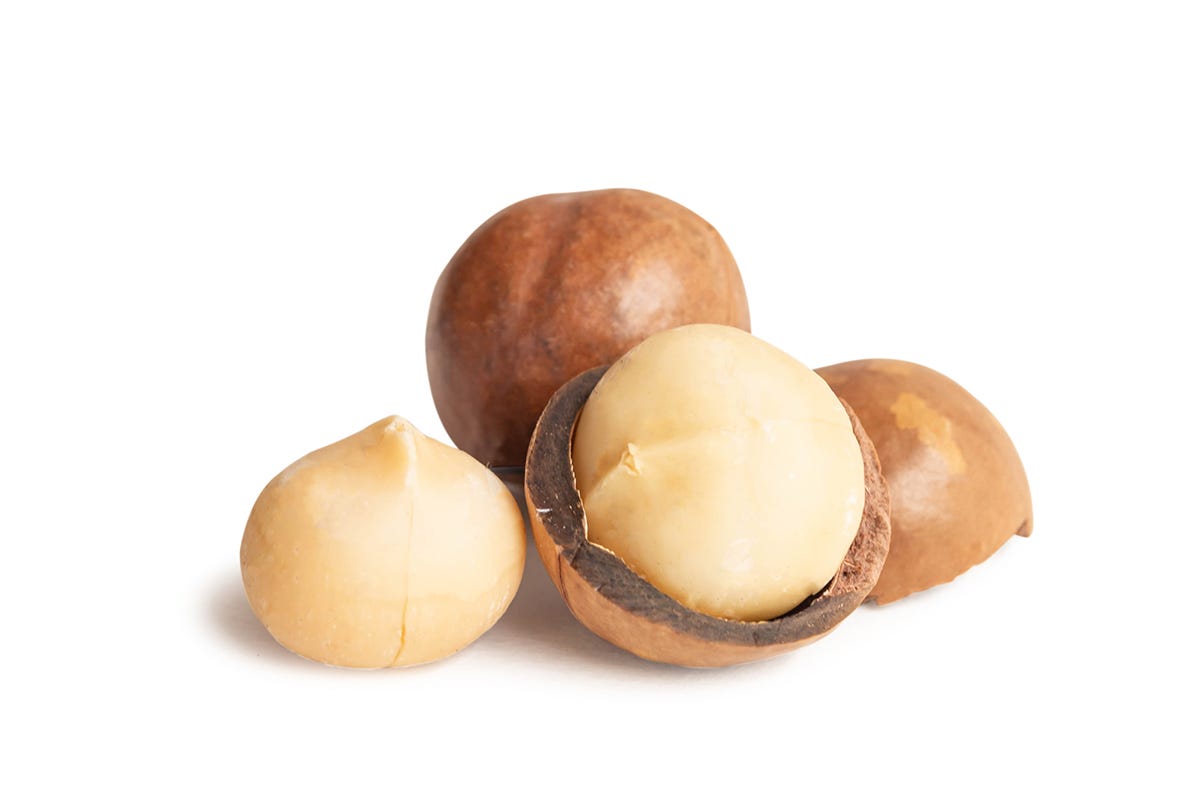 Le proprietà delle noci di macadamia Conosci le proprietà delle noci di macadamia?