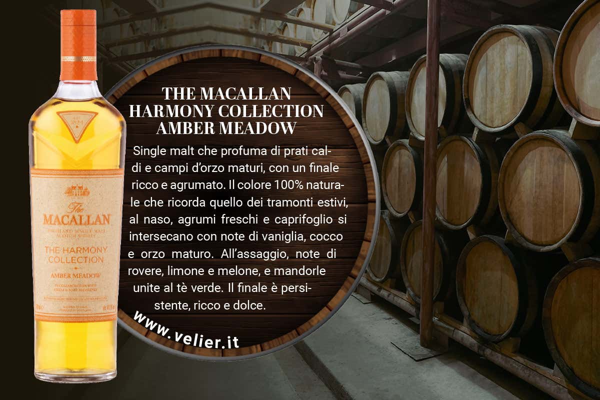 Distillati da meditazione: alla scoperta di grappa, whisky, rum e brandy