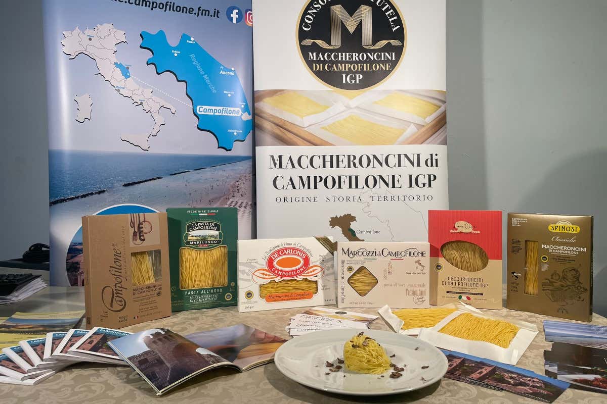 Ospiti illustri e progetti nobili nel Salotto TV Marchigiano di Giuseppe Cristini