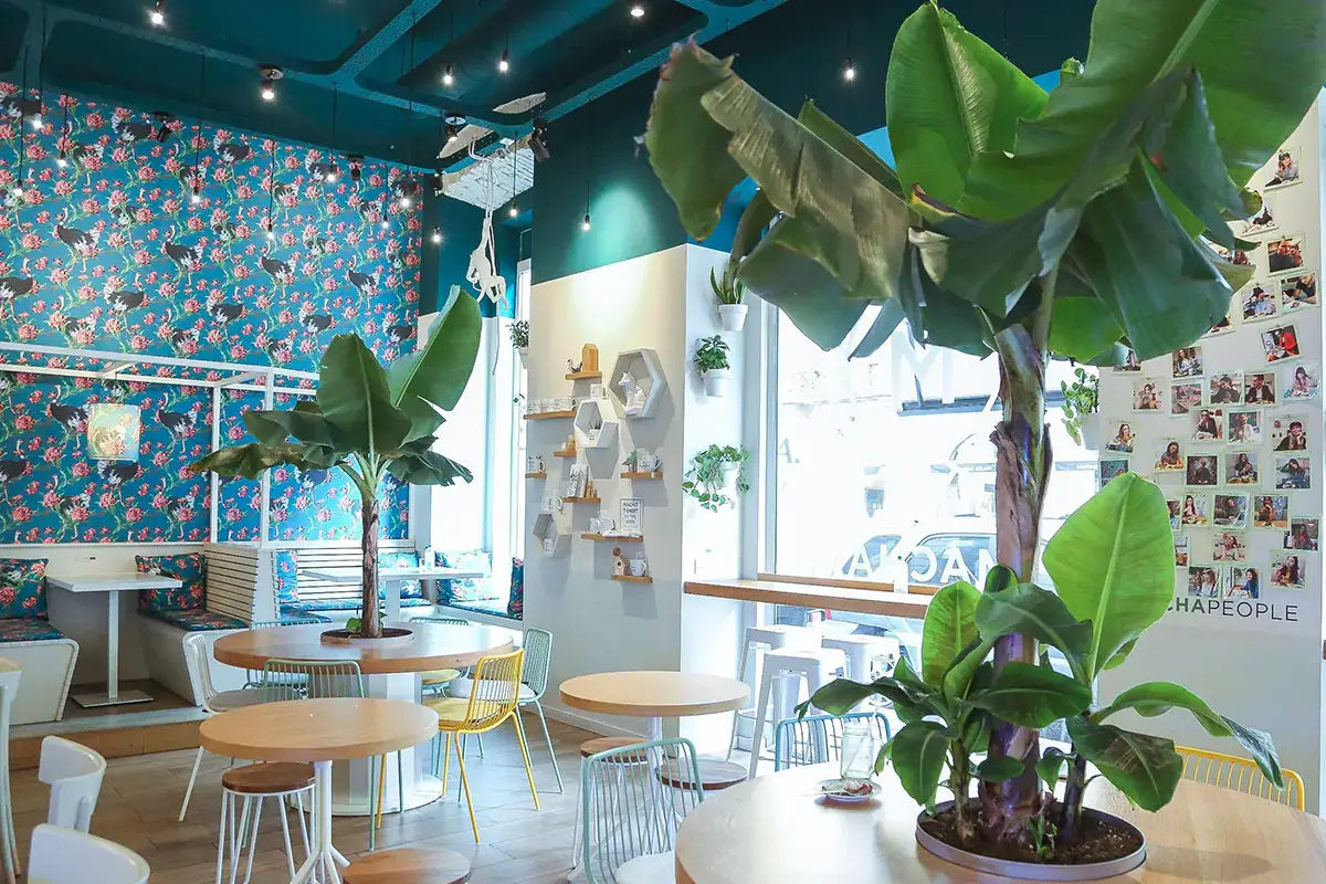 L'interno di un Macha Caf&egrave; Macha spinge sull'espansione con il finanziamento da 4 milioni di Illimity Bank