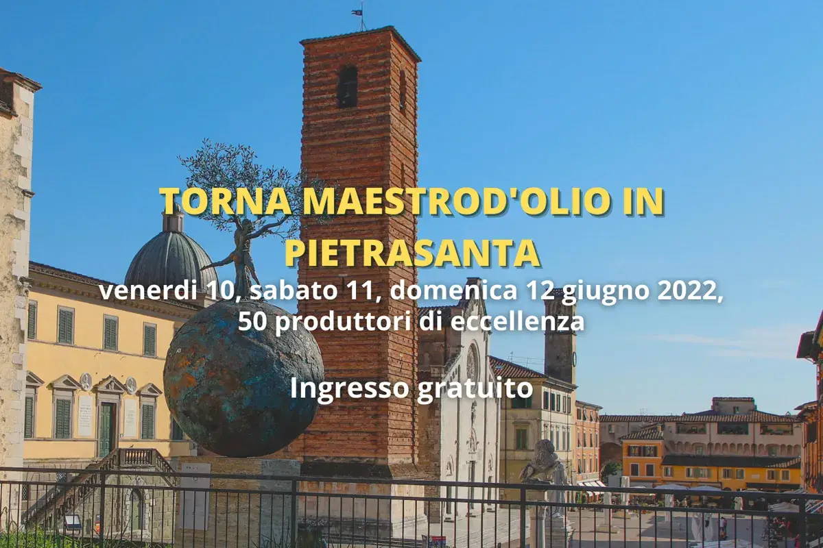 Maestrod&rsquo;olio, degustazioni estive: opportunit&agrave; per scoprire i grandi oli italiani