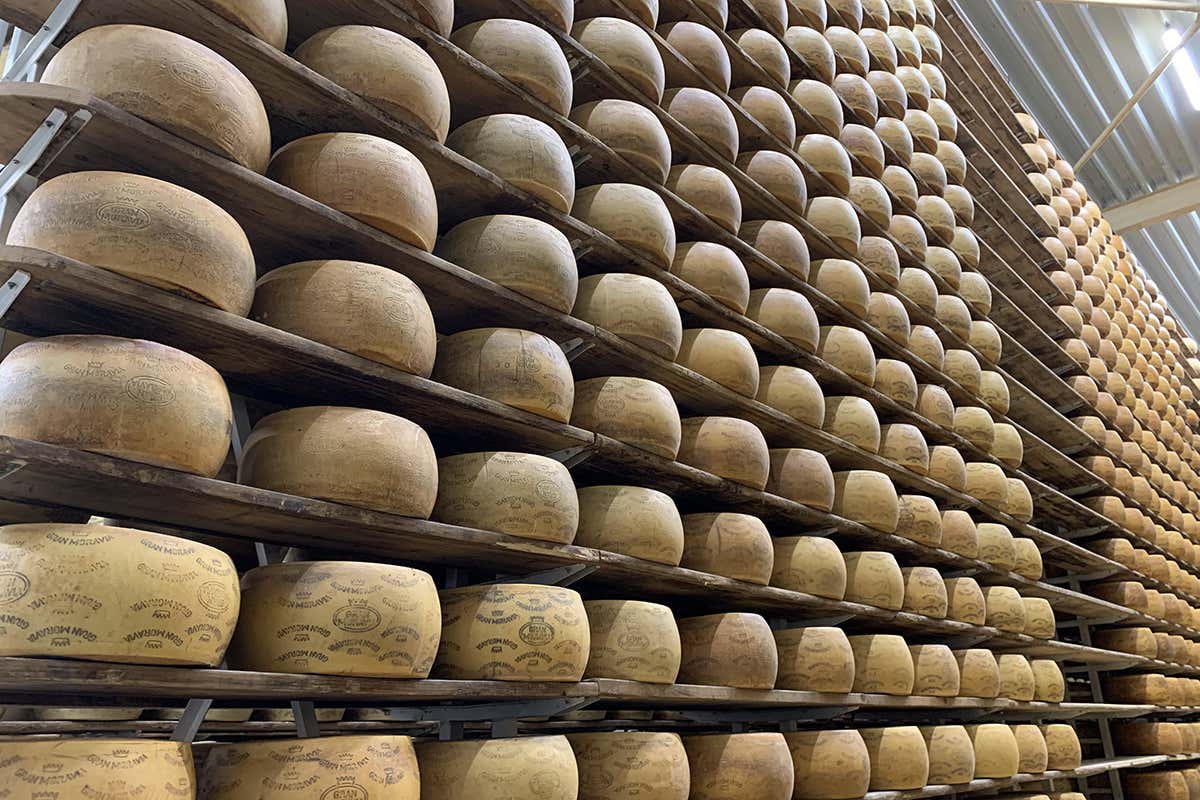 Il magazzino di stagionatura accoglie 11 mila forme di Gran Morava Roberto Brazzale: «Facciamo le cose dove riescono meglio»