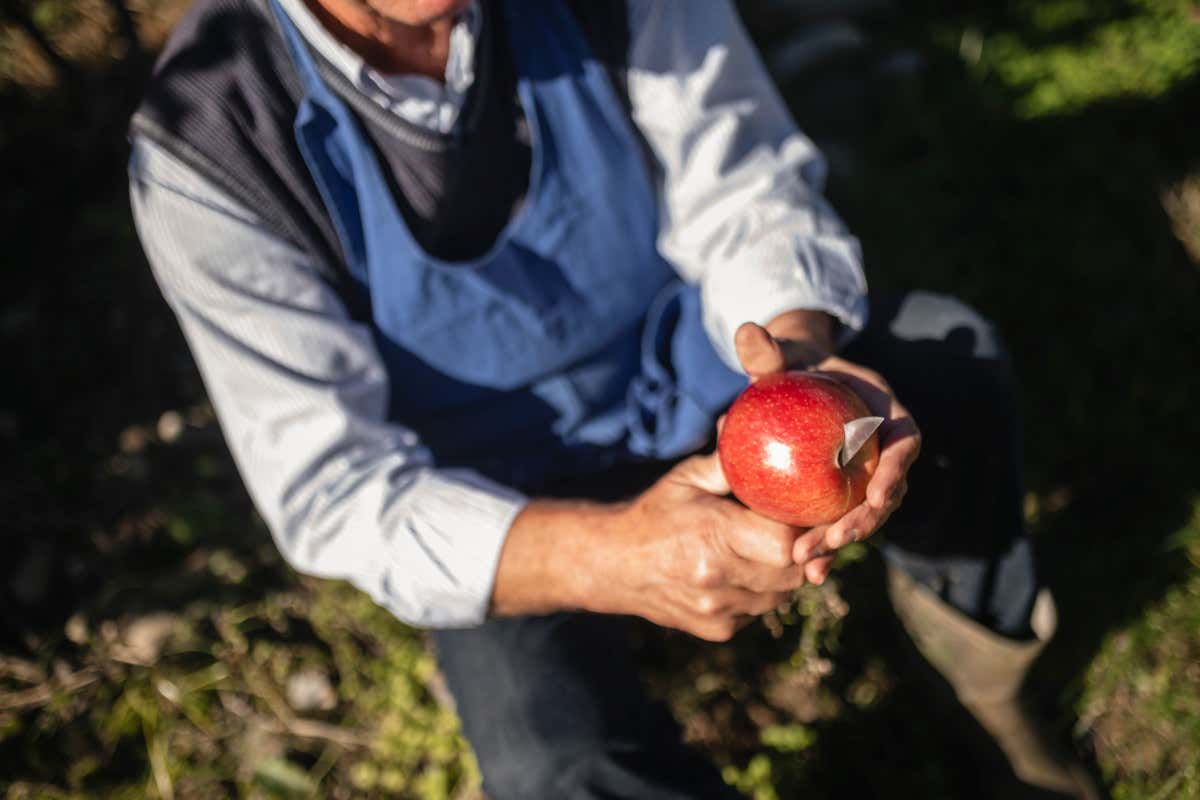 Alto Adige: un tripudio di colori e sapori per “Malghe in fiore”