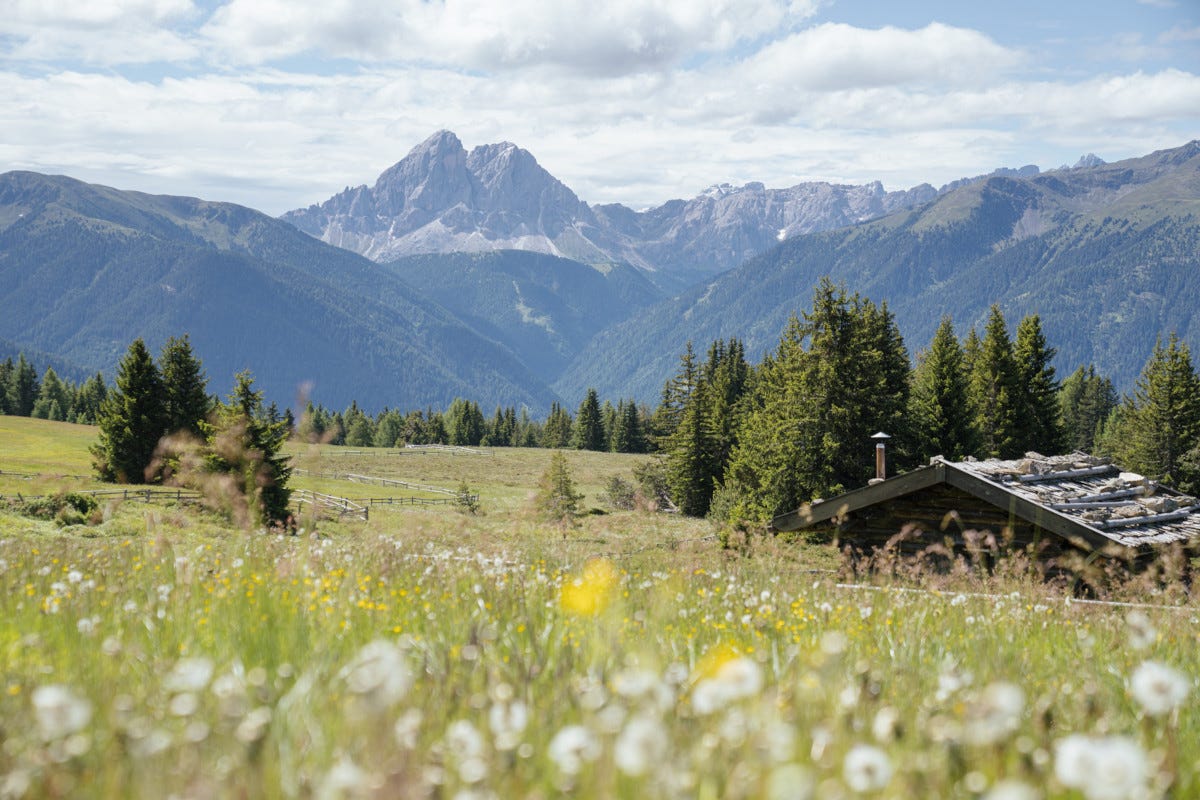 Alto Adige: un tripudio di colori e sapori per “Malghe in fiore”