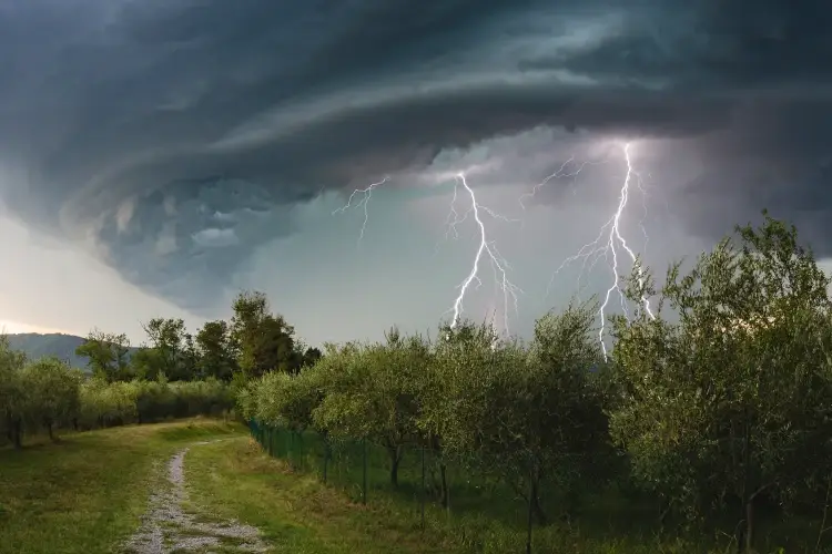 Maltempo, allarme grandine nelle campagne