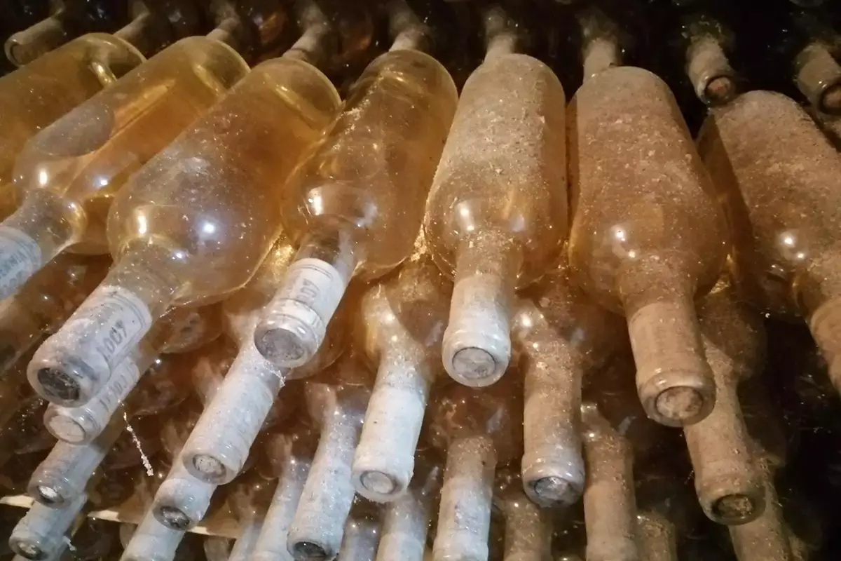 Malvasia invecchiata I vignaioli dei Castelli Romani e la sfida del valore