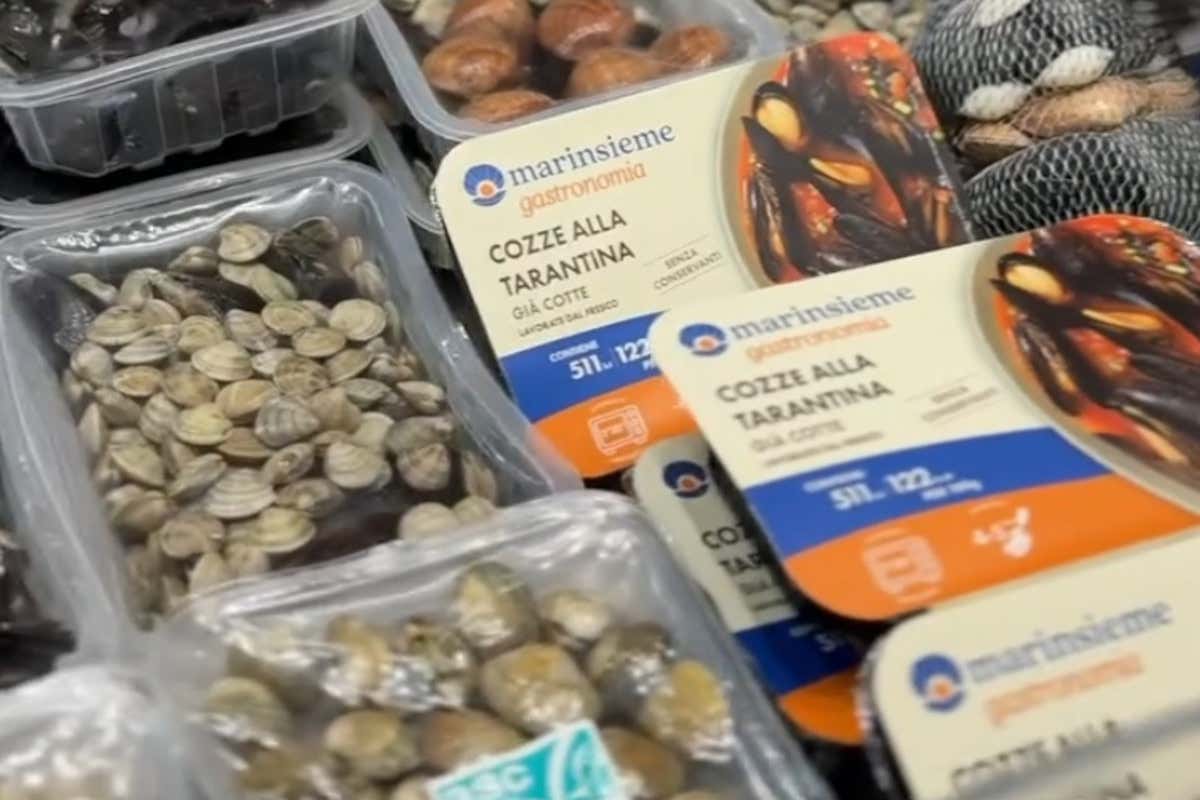 Dopo l'incendio, la rinascita: così Mancin Nadia è tornata più forte di prima Dopo l'incendio, la rinascita: così Mancin Nadia è tornata più forte di prima