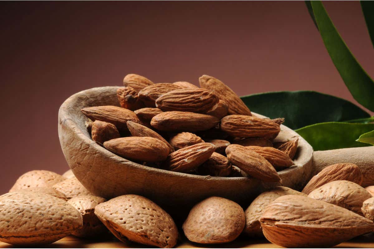 Mandorle Sindrome da rientro? Con le Poké per il restart ormonale gli ormoni ripartono e torna il buon umore