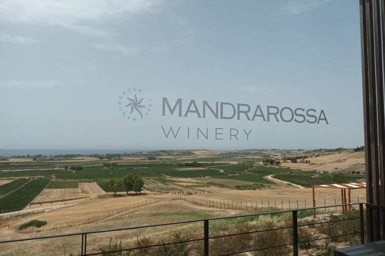 Panorama dalla Cantina Mandrarossa Biodiversità e alto profilo, le parole d’ordine dei vini Mandrarossa