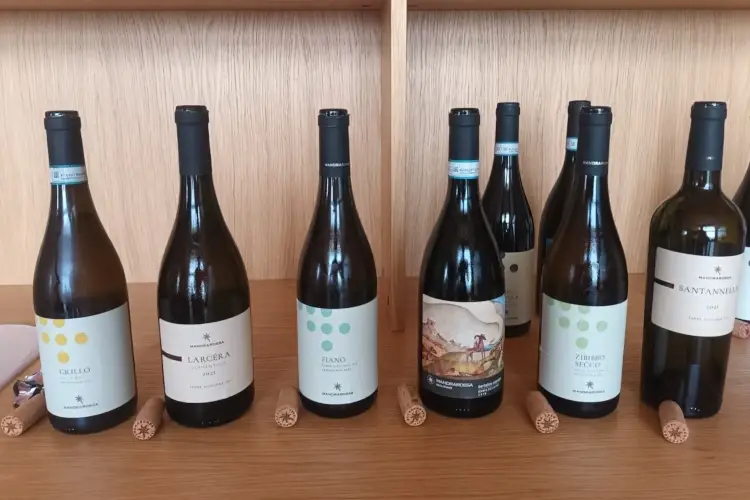 Una selezione di vini della Cantina Mandrarossa Biodiversit&agrave; e alto profilo, le parole d&rsquo;ordine dei vini Mandrarossa