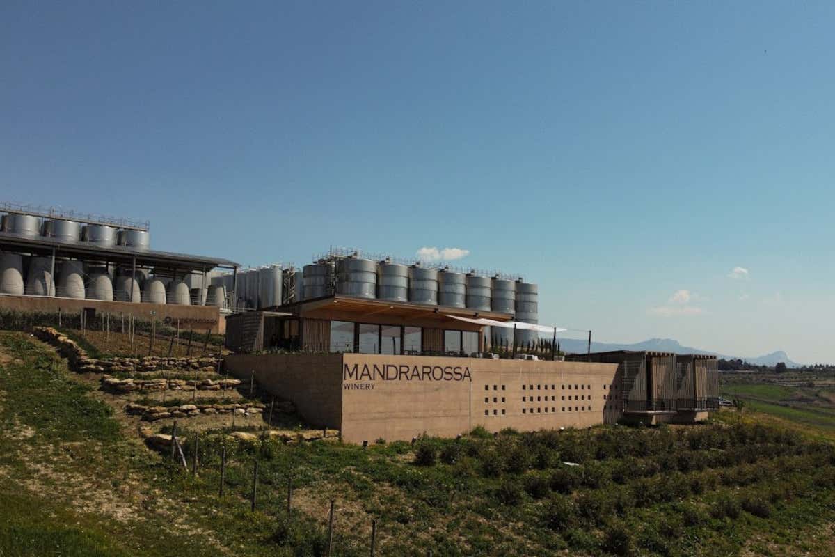 Il Grillo che sorprende le guide: il Bertolino Soprano 2024 di Mandrarossa