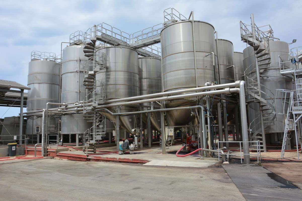 La Sicilia che non ti aspetti nei vini innovativi di Mandrarossa