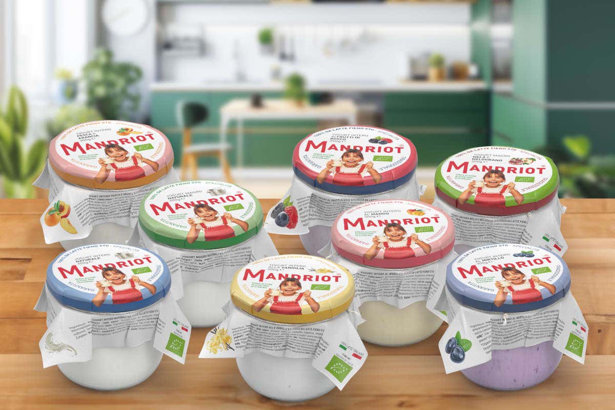 Caseificio Fratelli Castellan: oltre 100 anni di innovazione nel mondo del latte Caseificio Fratelli Castellan: oltre 100 anni di innovazione nel mondo del latte