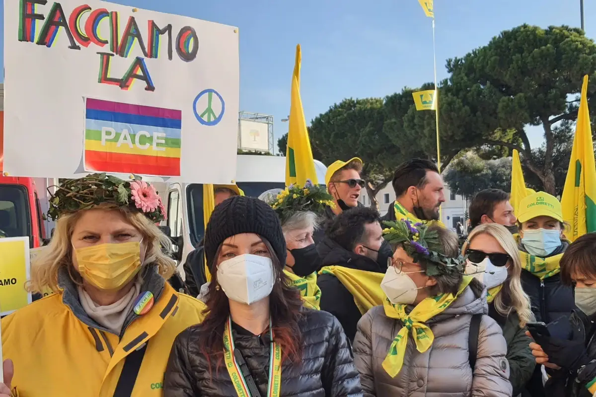 Gasolio e concimi alle stelle: gli agricoltori costretti a tagliare un quarto della produzione