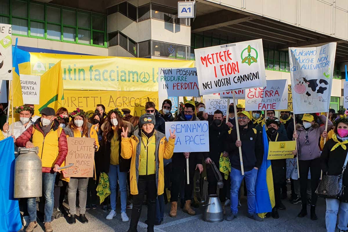 Gasolio e concimi alle stelle: gli agricoltori costretti a tagliare un quarto della produzione