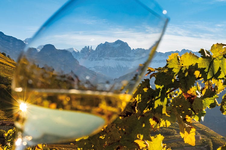Vino e montagna nell'abbinamento Erste+Neue  Erste Neue, montagne nel logoe più Alto Adige in bottiglia