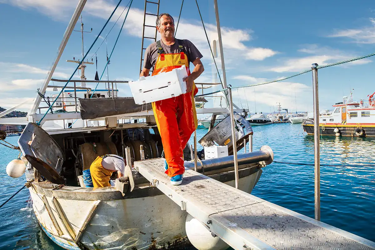 Dal mare alle tavole dei ristoranti Vivo, con Origine il Gruppo Manno porta la tracciabilit&agrave; nel menu Dal mare ai ristoranti Vivo, con Origine il Gruppo Manno traccia il pesce fino al menu