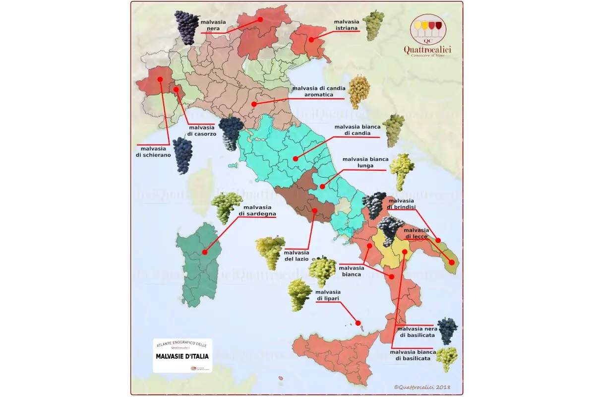 Venezia e la Malvasia, un legame storico da rilanciare